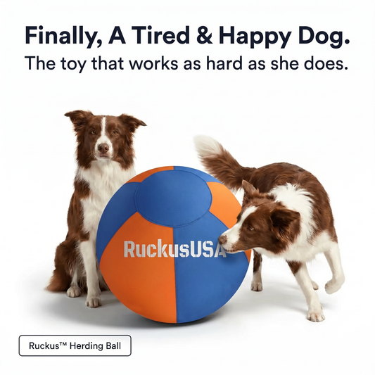 Ruckus™ Herding Ball